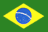Brazilian Flag