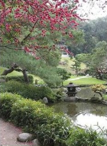 The Huntington Gardens