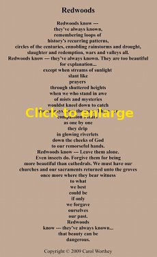 Worthey: 'Redwoods' Poem